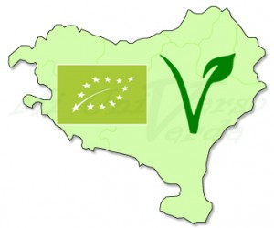 euskalherria-v-eco-con-logo